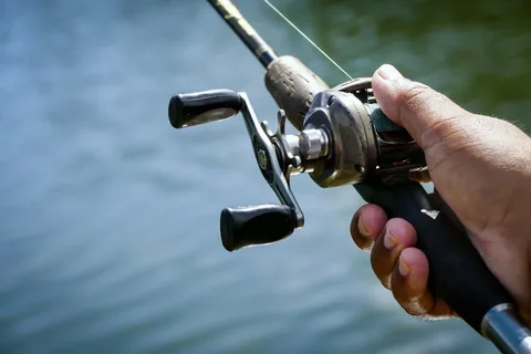 un petit lancé de pêche?