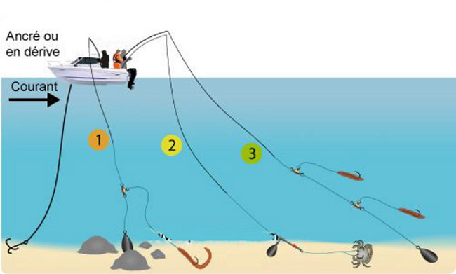 schema pêche soutenir